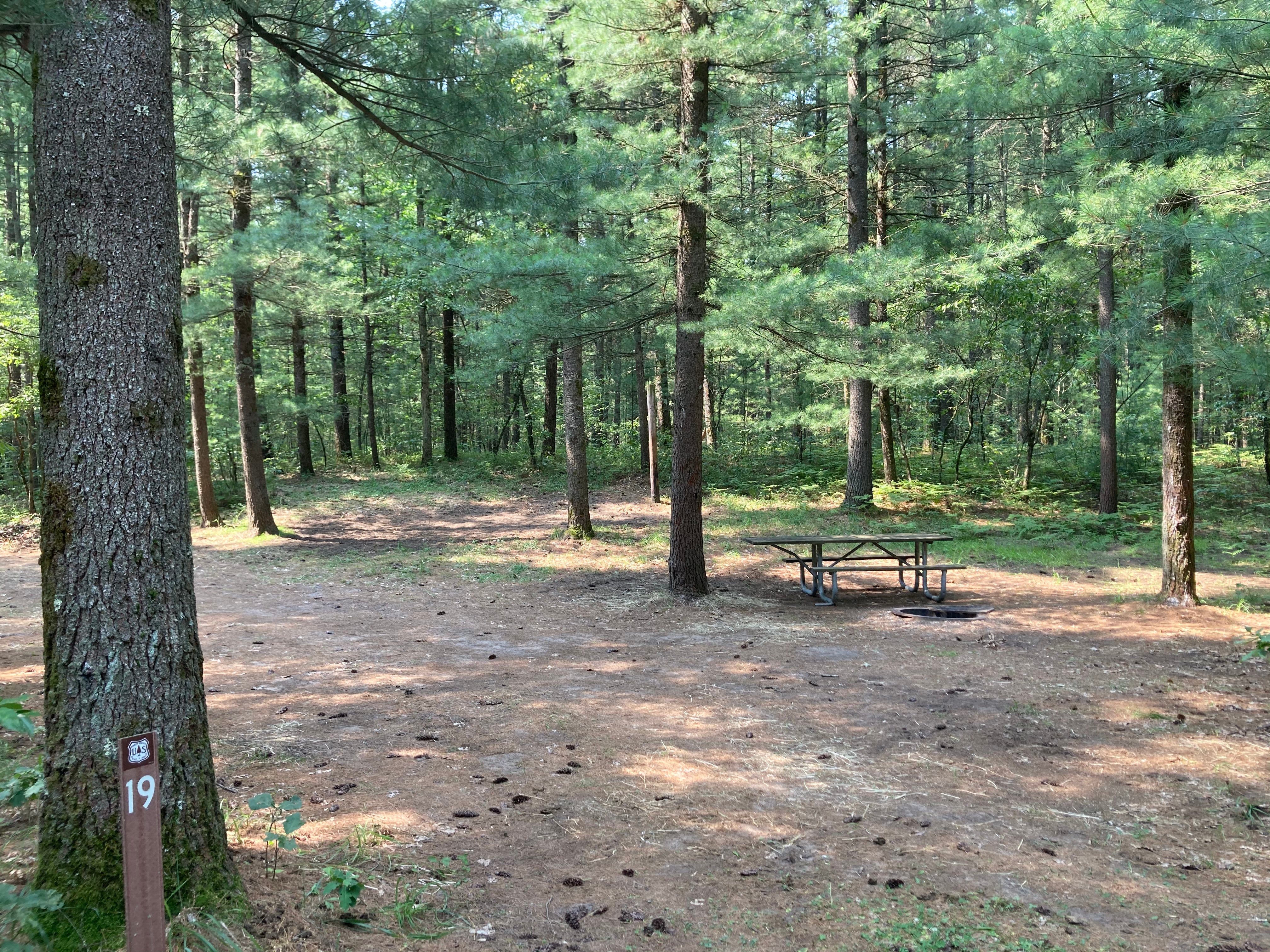 Camper submitted image from Manistee National Forest Marzinski Horse Trail Campground - 5