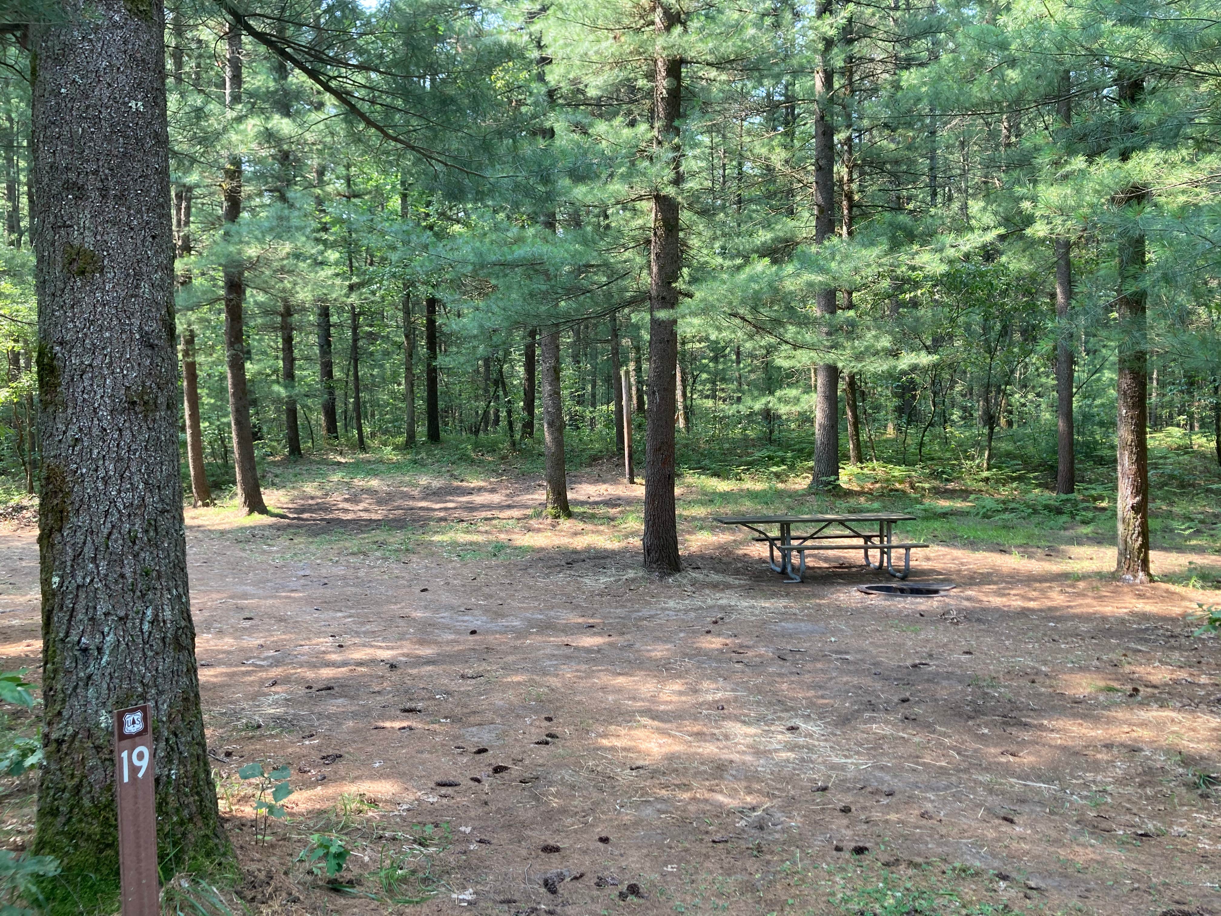 Camper submitted image from Manistee National Forest Marzinski Horse Trail Campground - 2