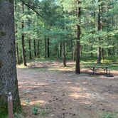Review photo of Manistee National Forest Marzinski Horse Trail Campground by Cameron , August 5, 2021