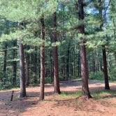 Review photo of Manistee National Forest Marzinski Horse Trail Campground by Cameron , August 5, 2021