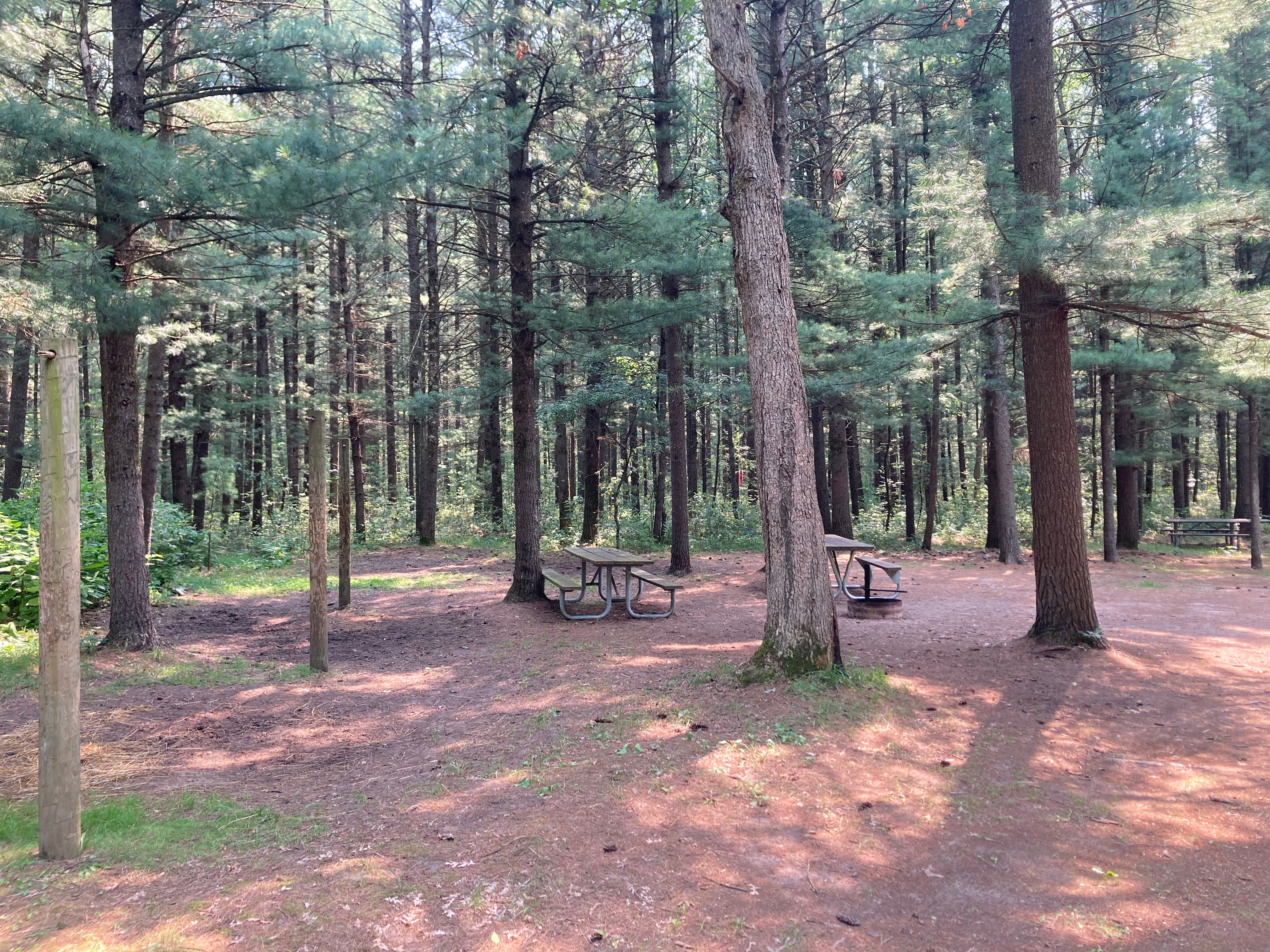 Camper submitted image from Manistee National Forest Marzinski Horse Trail Campground - 3