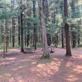 Review photo of Manistee National Forest Marzinski Horse Trail Campground by Cameron , August 5, 2021