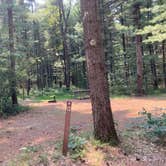 Review photo of Manistee National Forest Marzinski Horse Trail Campground by Cameron , August 5, 2021