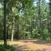 Review photo of Manistee National Forest Marzinski Horse Trail Campground by Cameron , August 5, 2021