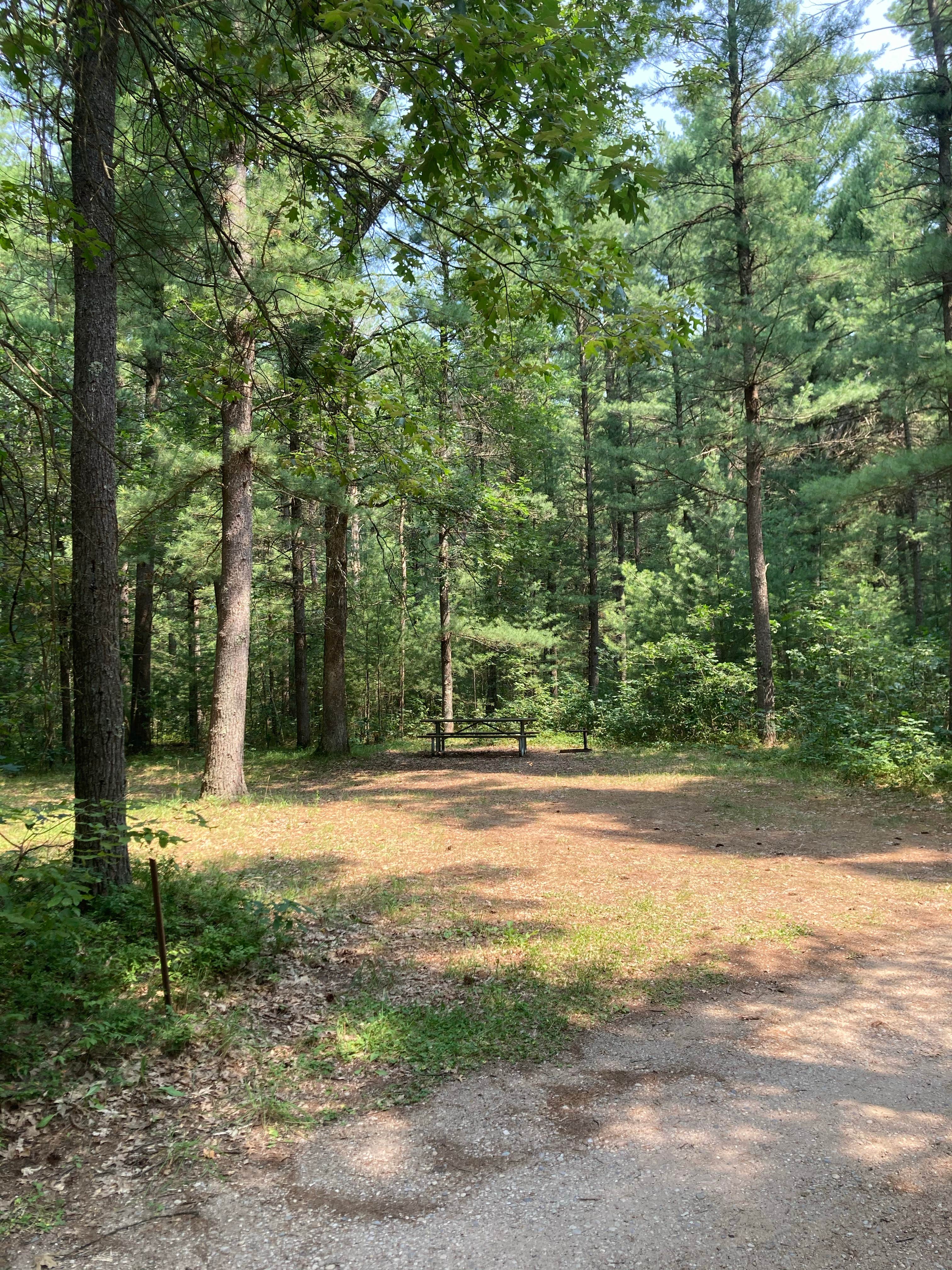 Camper submitted image from Manistee National Forest Marzinski Horse Trail Campground - 5