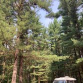 Review photo of Manistee National Forest Marzinski Horse Trail Campground by Cameron , August 5, 2021