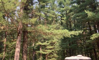 Cameron's photo of rv camping at Manistee National Forest Marzinski Horse Trail Campground near Onekama, MI