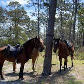 Review photo of Princess Place Preserve by B H., January 17, 2021