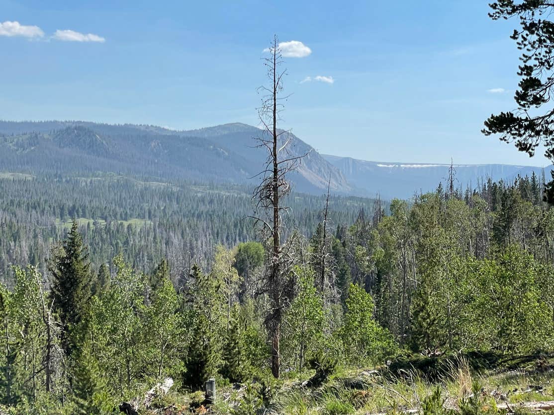 Little Lyman Lake Campground The Dyrt