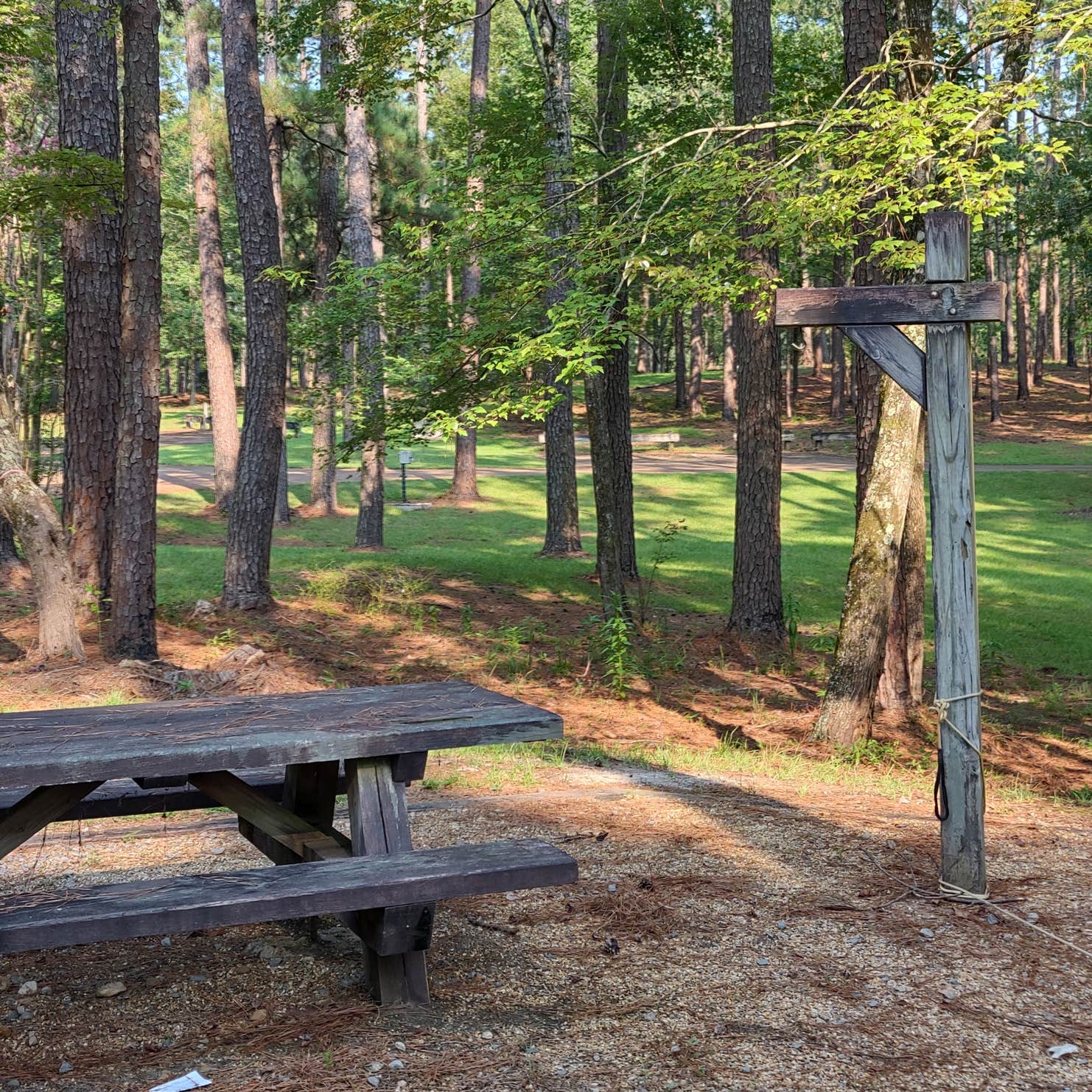 Gum Springs Recreation Area — Kisatchie National Forest Camping