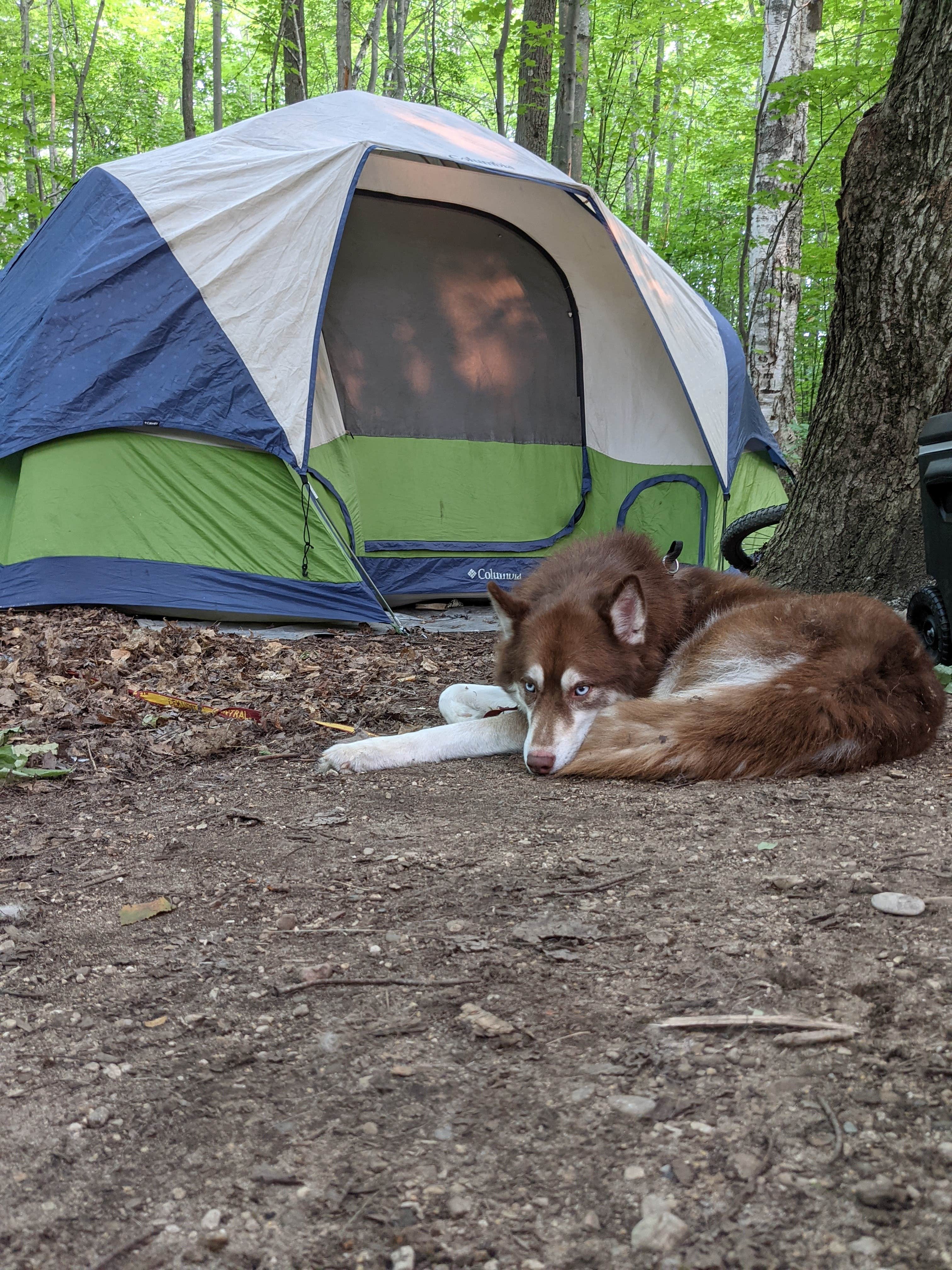 Drew J.'s photo at Fisherman's Island State Park Campground near Ellsworth, MI