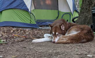 Drew J.'s photo at Fisherman's Island State Park Campground near Petoskey, MI