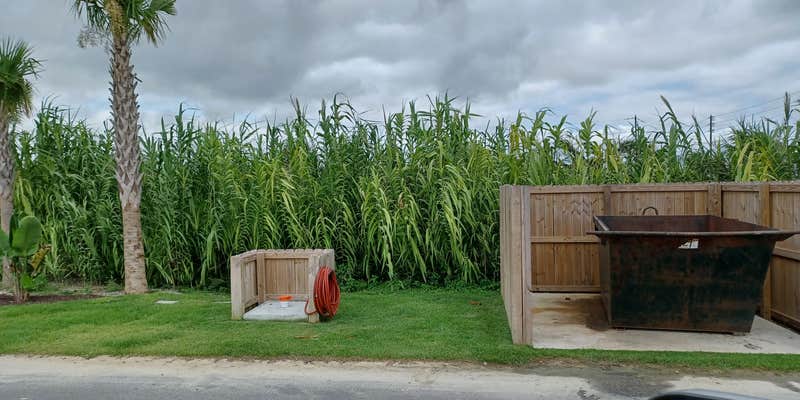 Camper submitted image from El Governor Motel & RV Park