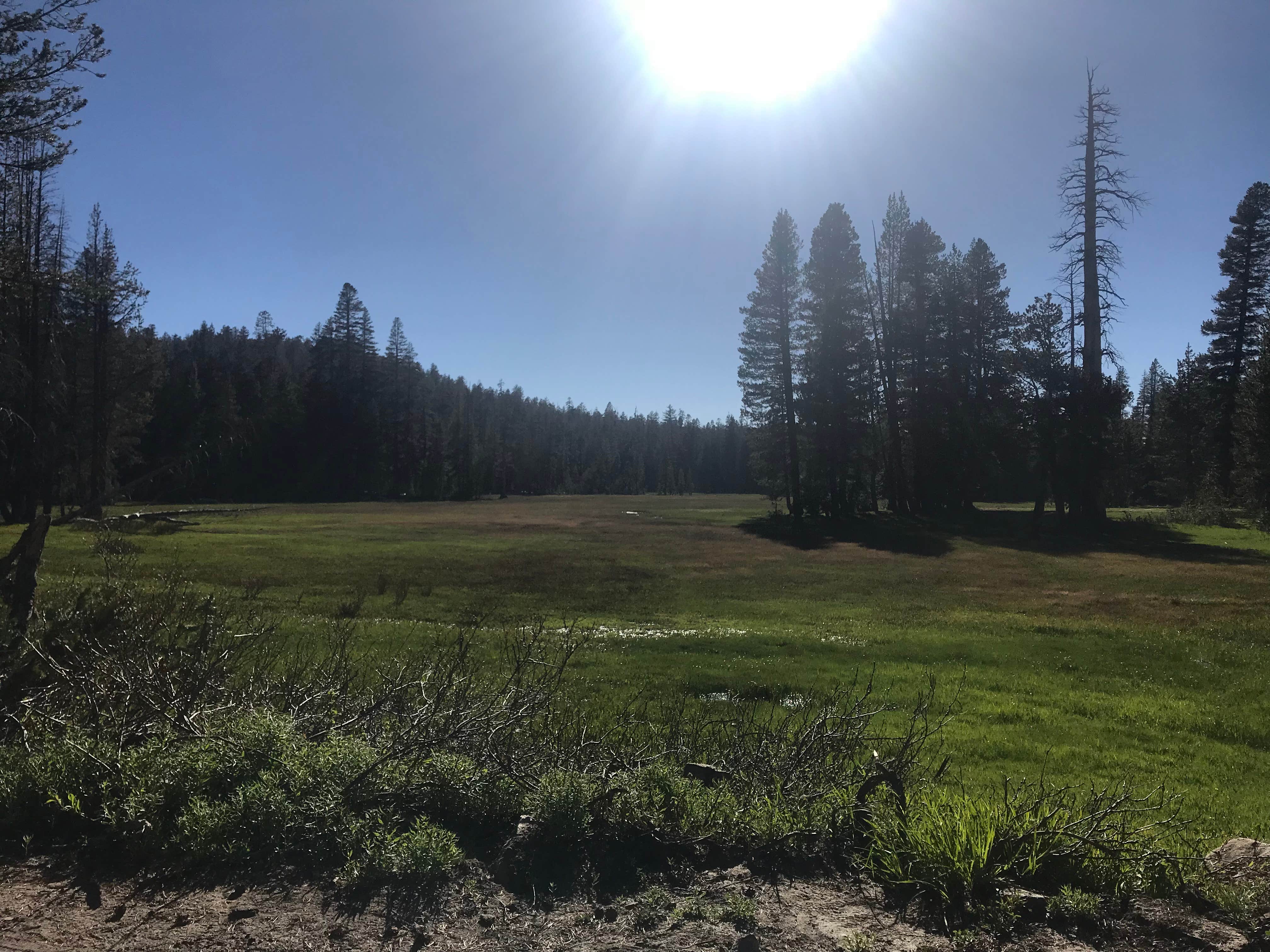 Camper-submitted photo at Sample Meadow Campground near Mono Hot Springs, CA