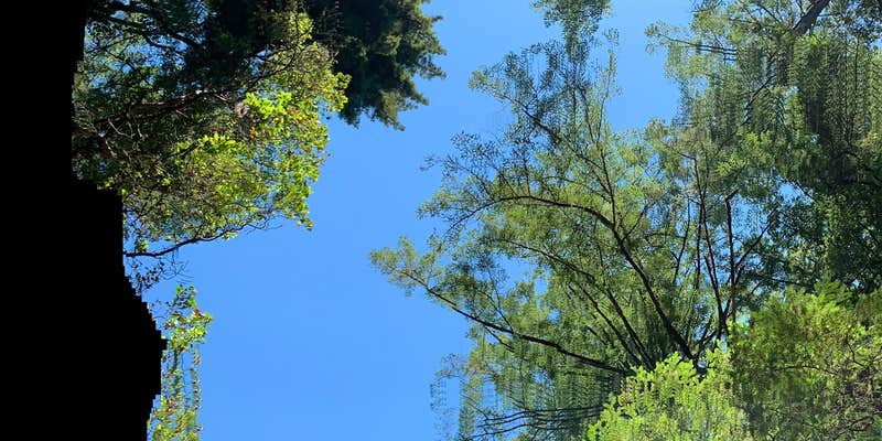 Camper submitted image from KOA Lemolo Lake / Crater Lake North