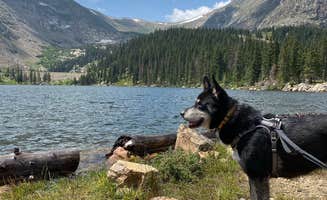 Cody W.'s photo of camping with pets at Chinns Lake Dispersed Camping near Georgetown, CO