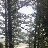 Review photo of Cape Lookout State Park Campground by Mine , August 5, 2021