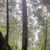 Review photo of Cape Lookout State Park Campground by Mine , August 5, 2021
