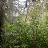 Review photo of Cape Lookout State Park Campground by Mine , August 5, 2021