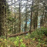 Review photo of Cape Lookout State Park Campground by Mine , August 5, 2021