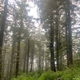 Review photo of Cape Lookout State Park Campground by Mine , August 5, 2021