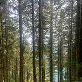 Review photo of Cape Lookout State Park Campground by Mine , August 5, 2021