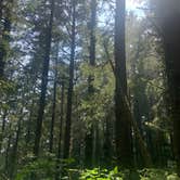 Review photo of Cape Lookout State Park Campground by Mine , August 5, 2021