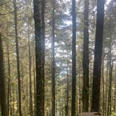 Review photo of Cape Lookout State Park Campground by Mine , August 5, 2021