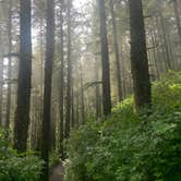 Review photo of Cape Lookout State Park Campground by Mine , August 5, 2021