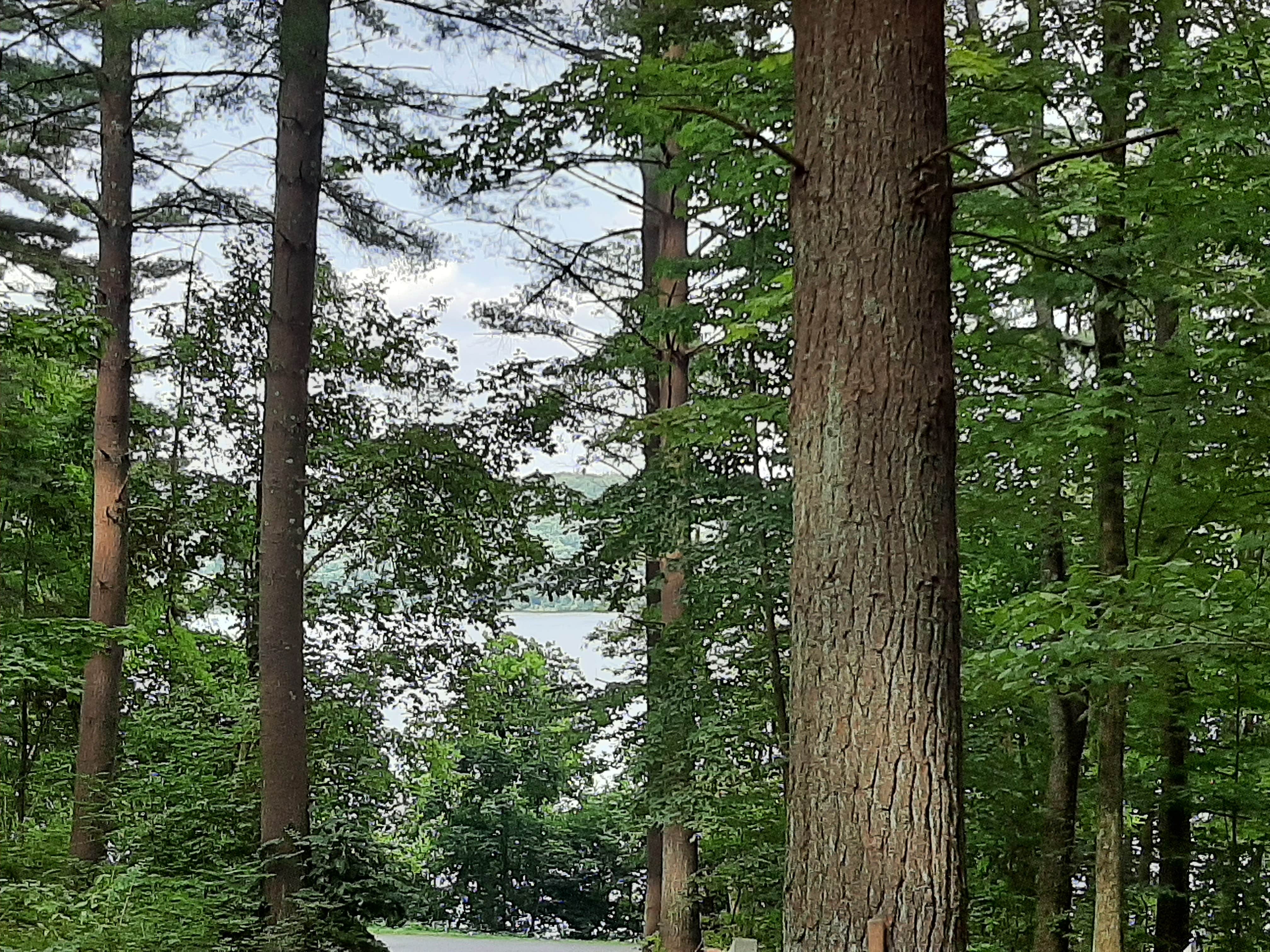 Camper-submitted photo at Clendening Lake Marina & Campground near Windsor Heights, WV