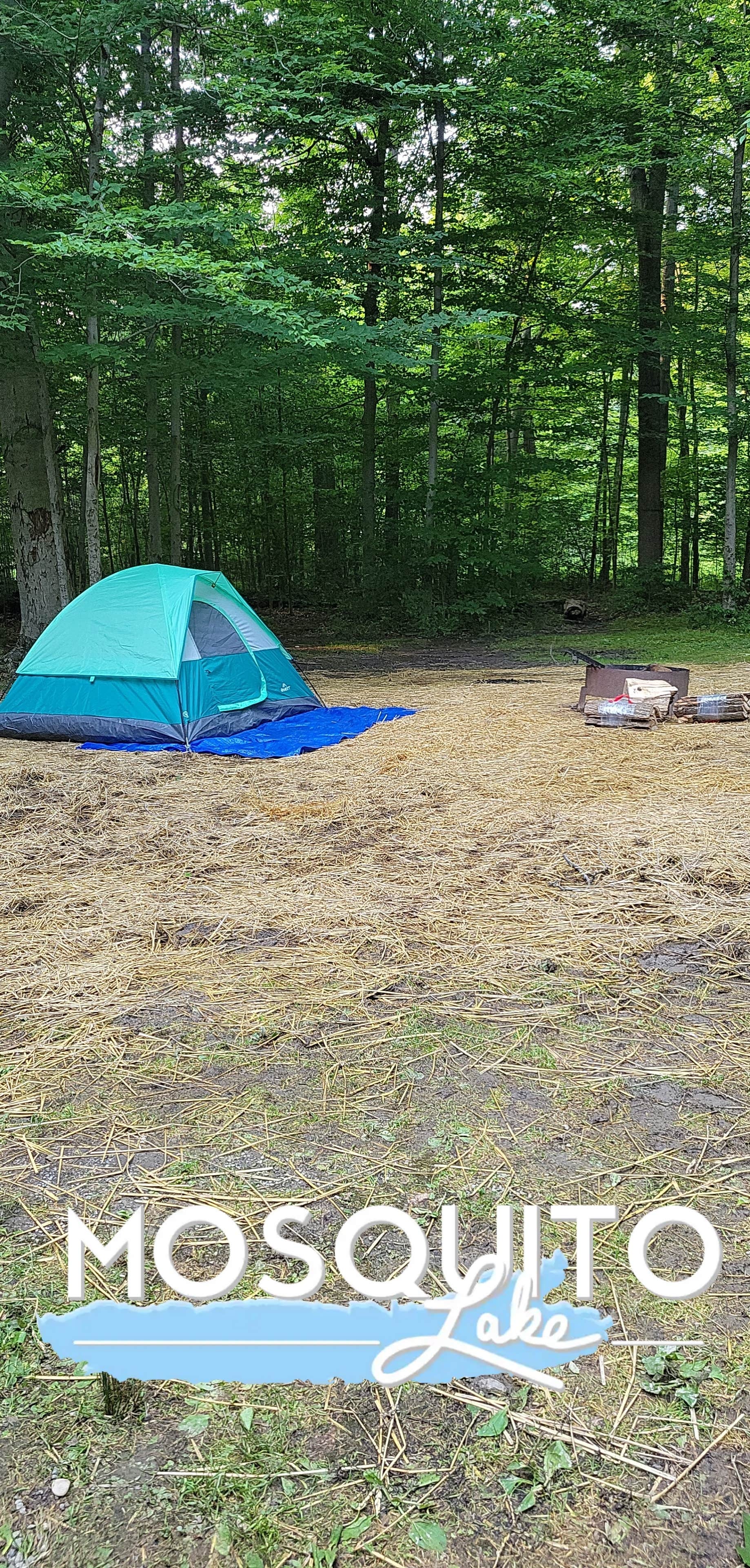 Brittney's photo at Mosquito Lake State Park Campground near Linesville, PA