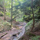 Review photo of Shades State Park Campground by Timothy , August 6, 2021