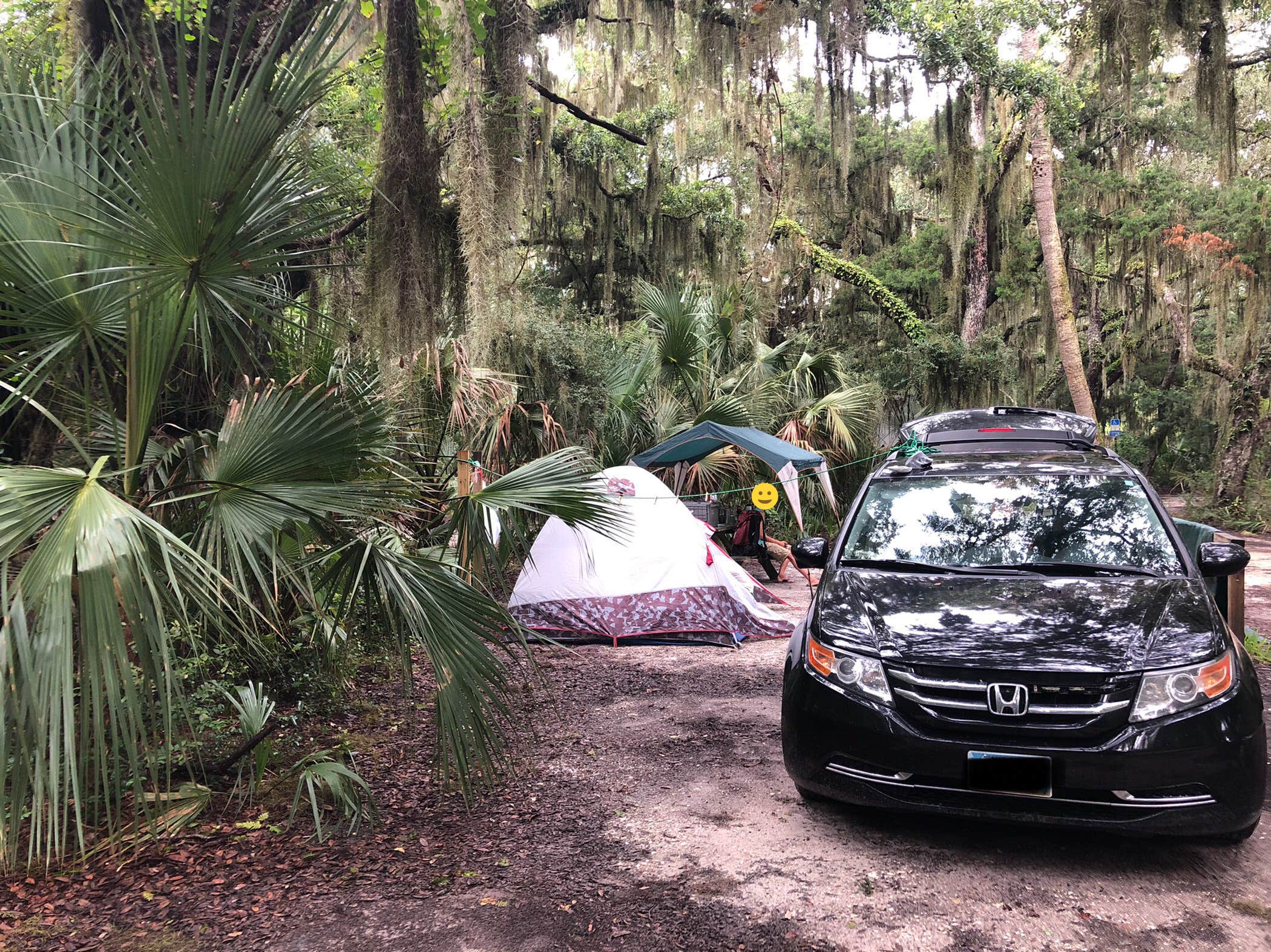 Ch. A.'s photo at Little Talbot Island State Park Campground near Jacksonville, FL