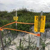 Review photo of Little Talbot Island State Park Campground by Ch. A., August 6, 2021