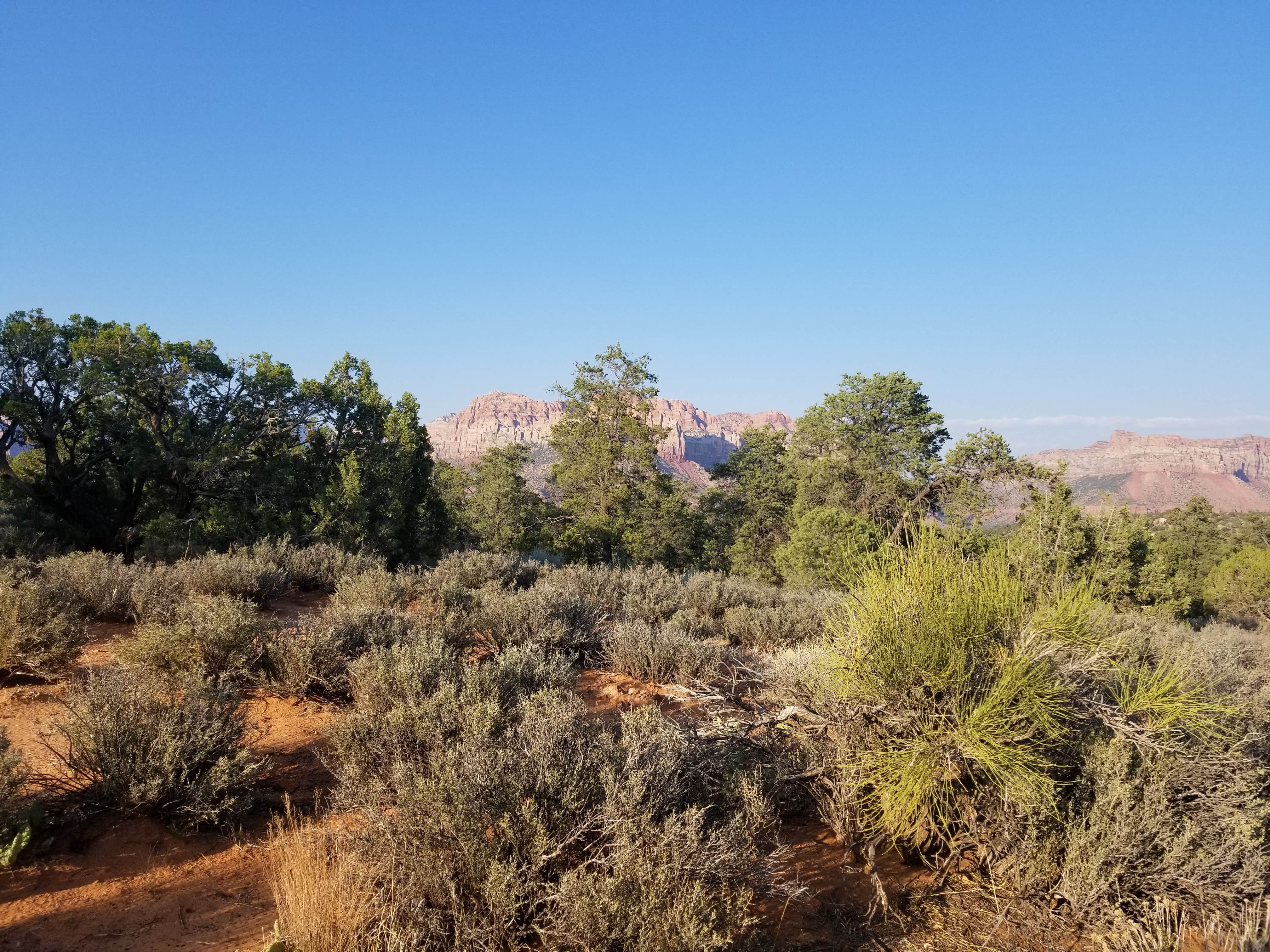 Best camping near St. Utah The Dyrt