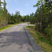 Review photo of Schoodic Woods Campground — Acadia National Park by David  G., June 18, 2018