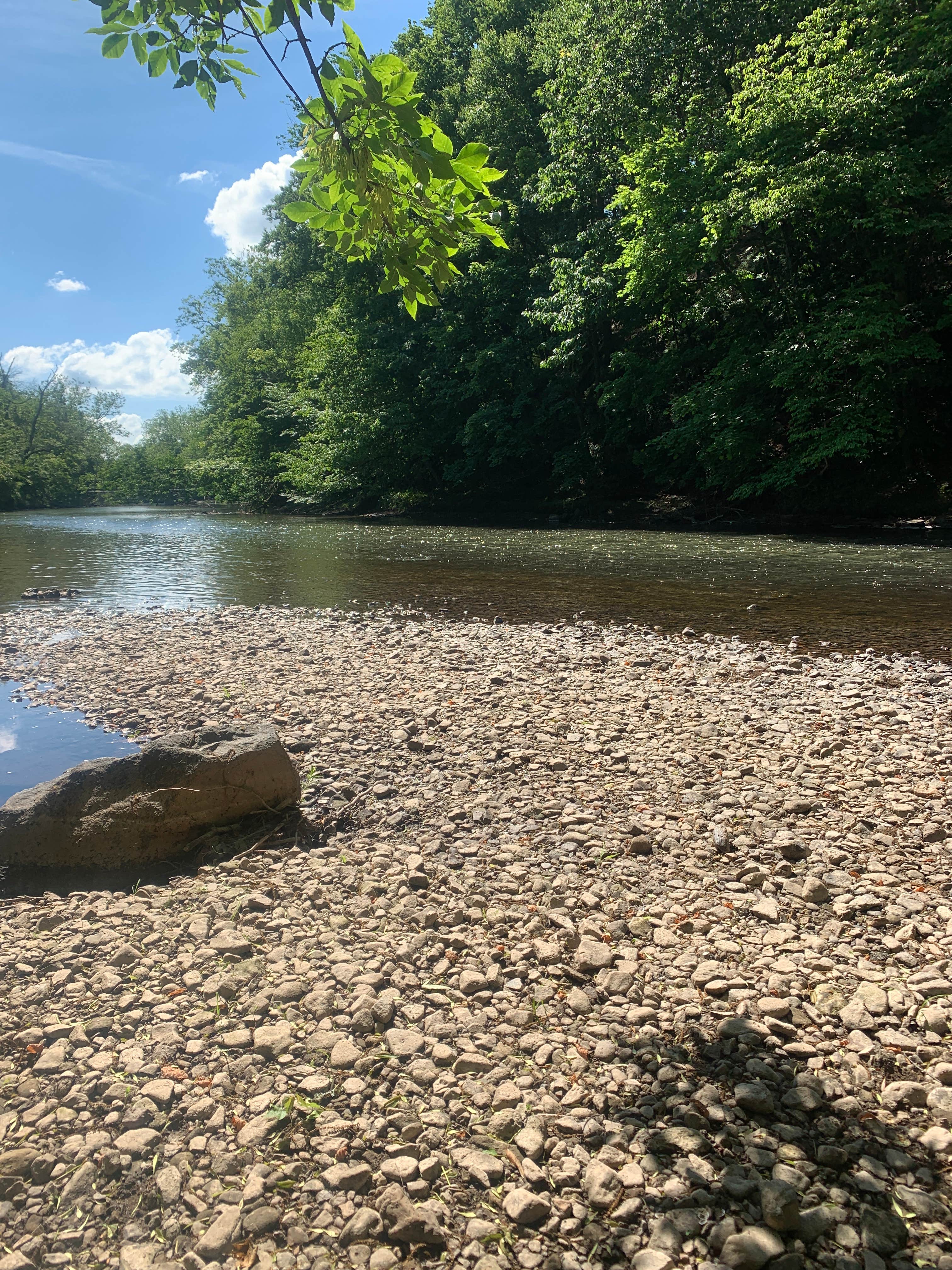 Camper-submitted photo at Camp Carr Campground near Tewksbury, NJ