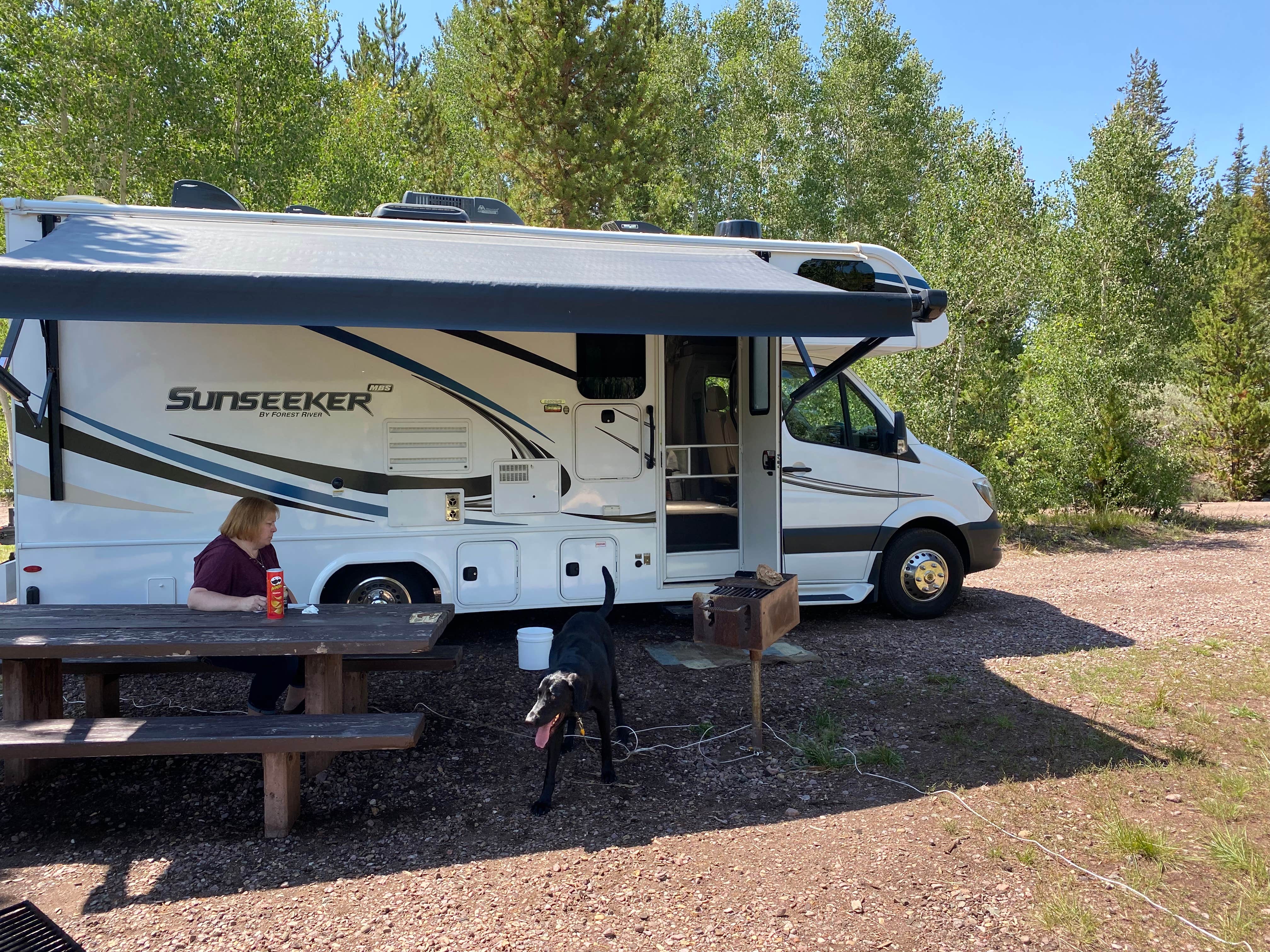 Camper submitted image from Meeks Cabin Campground — Uinta Wasatch Cache National Forest - 4