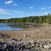 Review photo of Schoodic Woods Campground — Acadia National Park by David  G., June 18, 2018