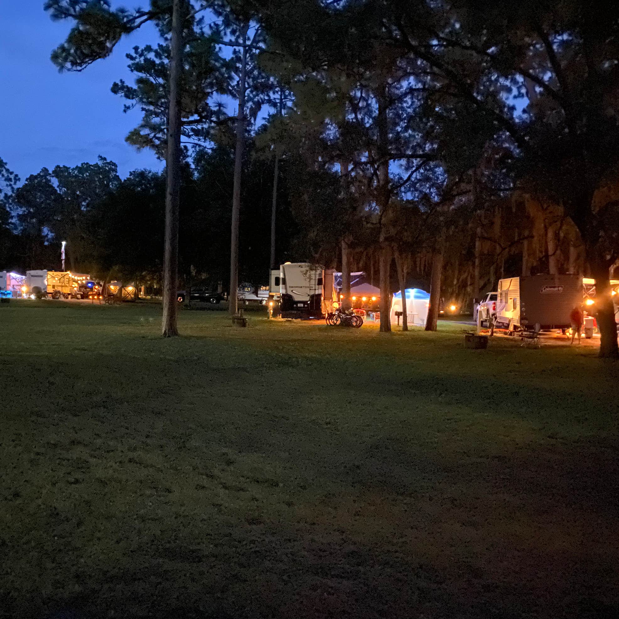 Salt Springs Recreation Area | The Dyrt