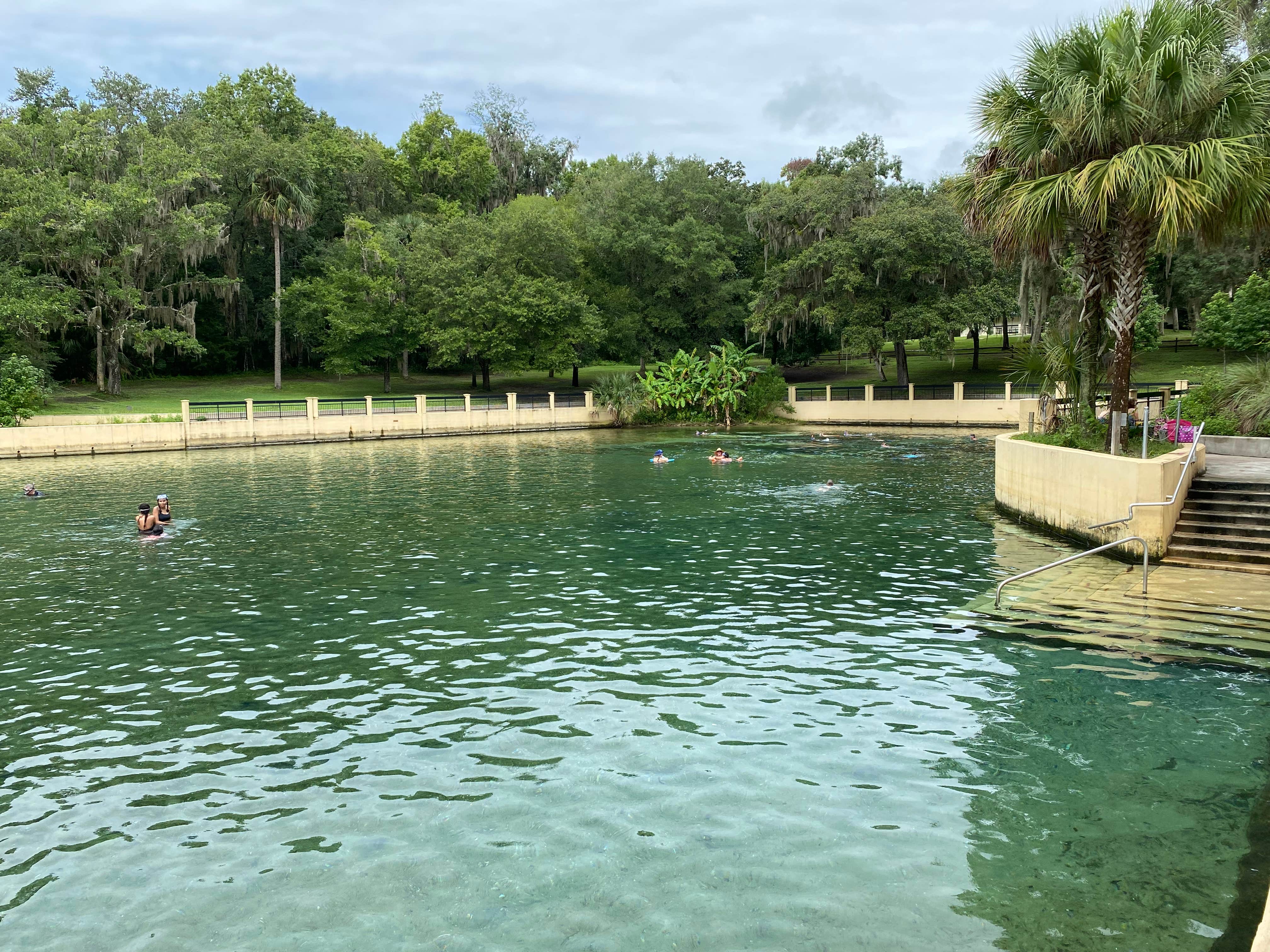 Salt Springs Recreation Area The Dyrt