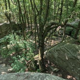 Review photo of Red Bridge Recreation Area - Allegheny National Forest by Gary G., August 6, 2021