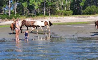 Sal V.'s photo of camping with a horse at Tom's Cove Park near Onancock, VA