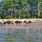 Review photo of Tom's Cove Park by Sal V., August 6, 2021