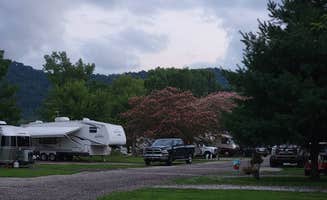 Julie W.'s photo of rv camping at Sandy Springs Campground near Lynx, OH