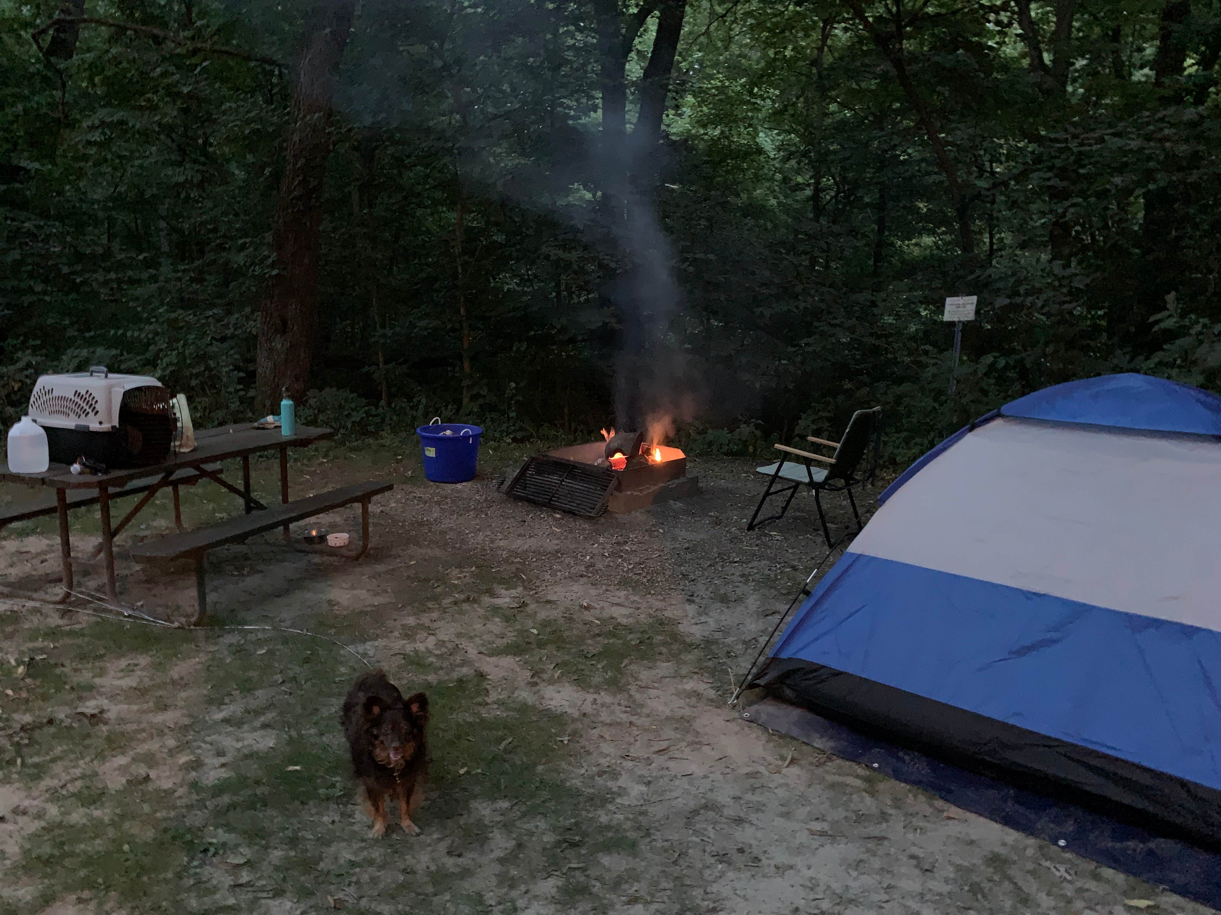 Jessie A.'s photo of camping with pets at Lowden State Park Campground near Rockford, IL