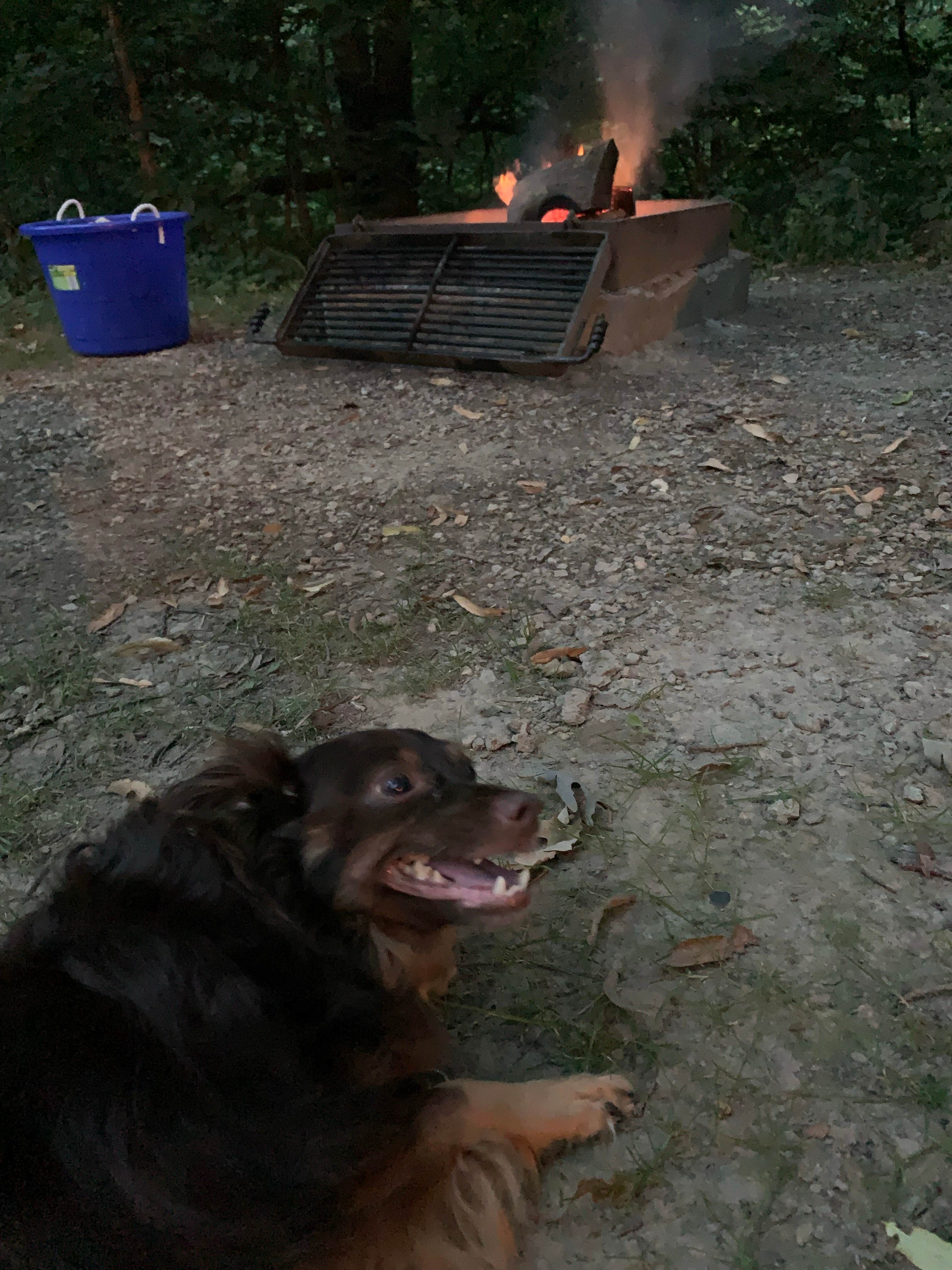 Jessie A.'s photo of camping with pets at Lowden State Park Campground near Kingston, IL