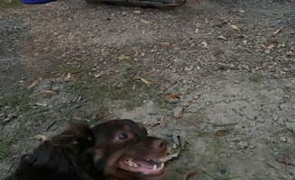 Jessie A.'s photo of camping with pets at Lowden State Park Campground near Sycamore, IL
