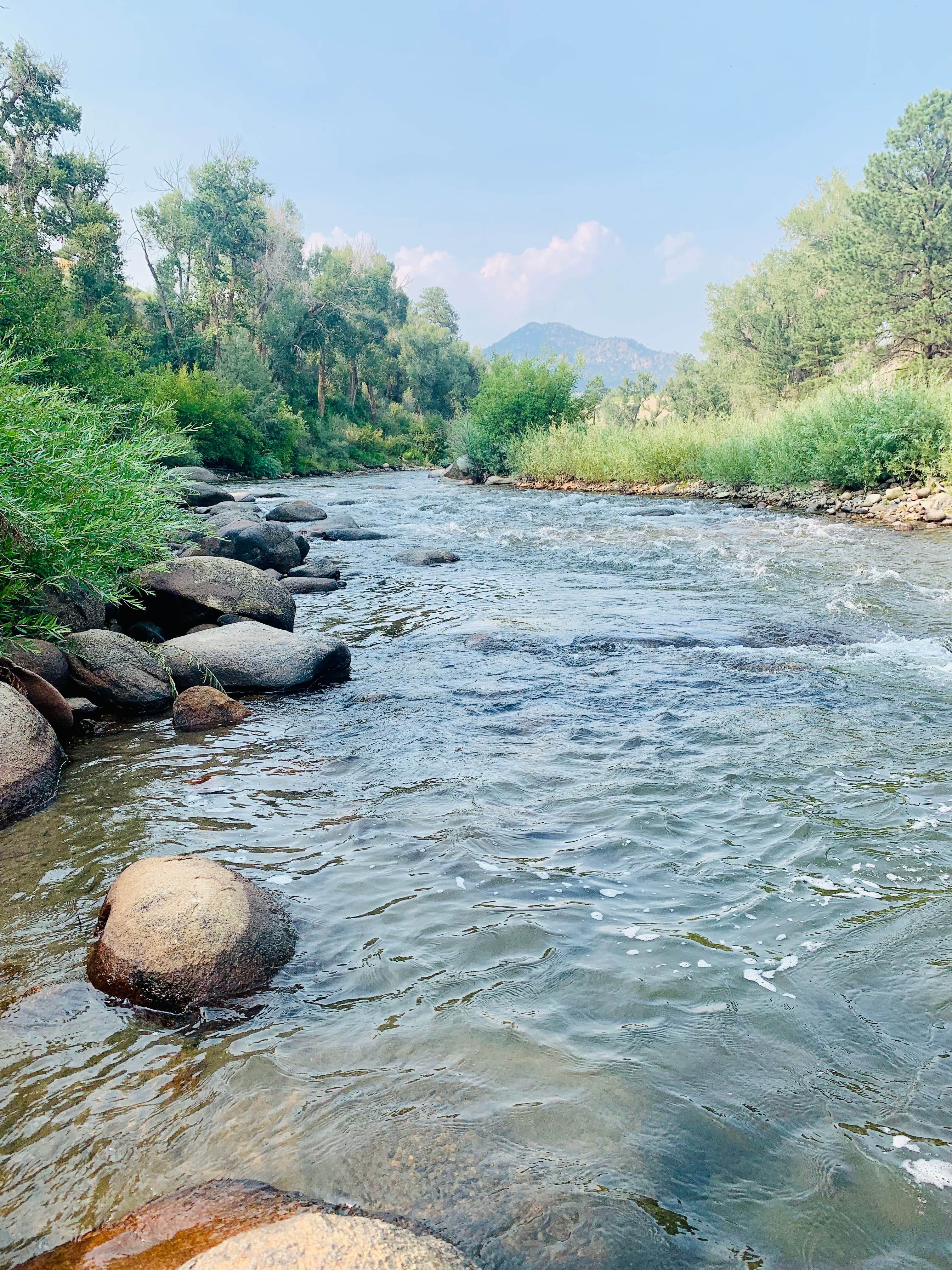 Camper-submitted photo at Rafter's Roost near Granite, CO