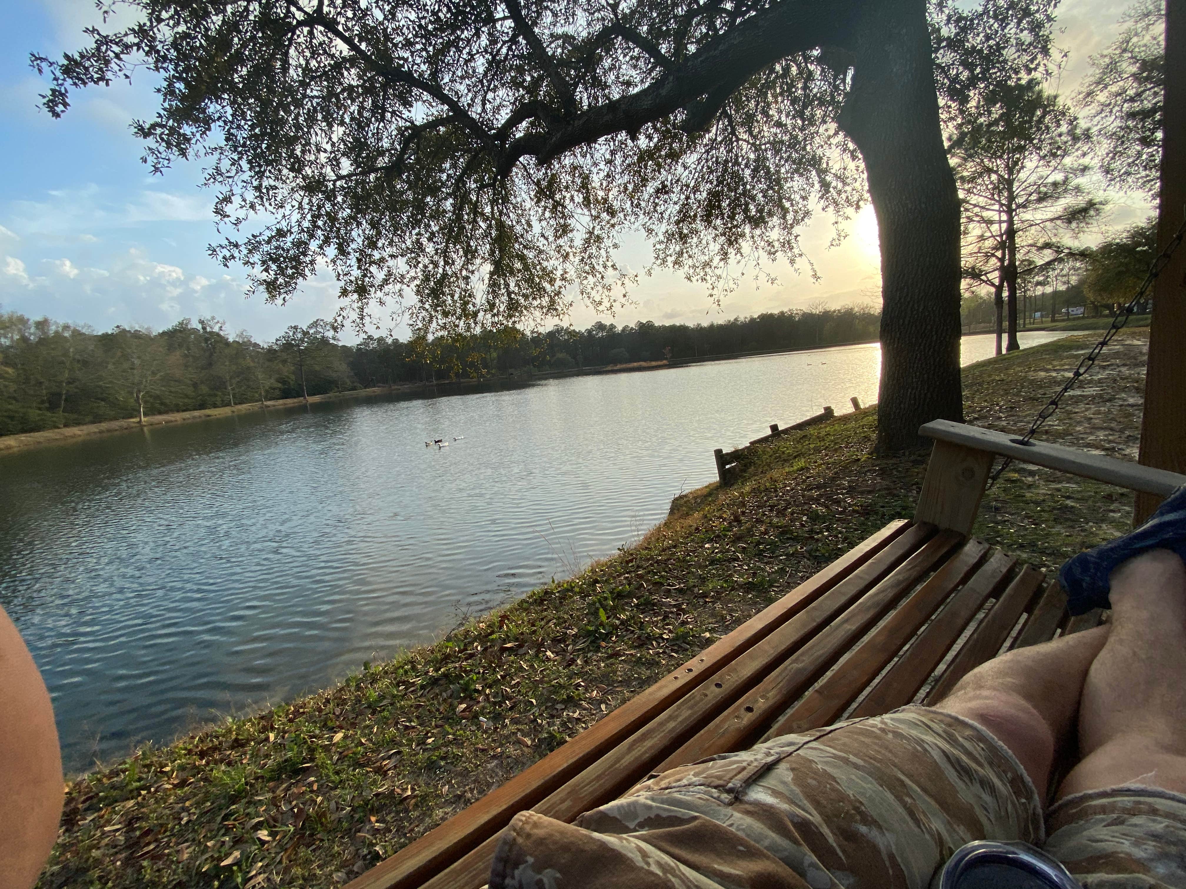 Camper submitted image from Mobile Oaks RV Resort - 3